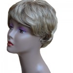 WIG 10066A-1