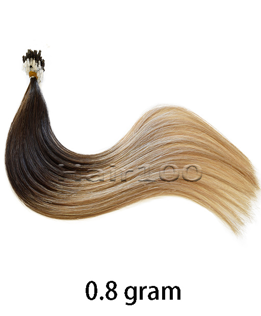Micro Loop Ring Hair #Ombre 2 to 18 Dark Brown to Ash Blonde