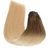 Clip in Hair  Extensions  -- # Ombre 6 to 20 - Image 2